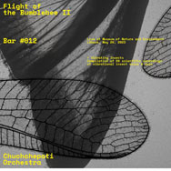 Chuchchepati Orchestra – Flight Of The Bumblebee II (Cover)