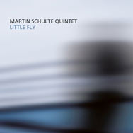 Martin Schulte Quintet – Little Fly (Cover)