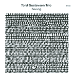 Tord Gustavsen Trio – Seeing (Cover)